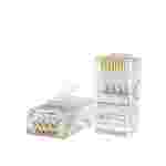 Conector RJ45 AGILER | Red CAT6 | Unidad (AGI-1418)