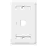 Jack Wall Plate AGILER | 1 Puerto | Blanco
