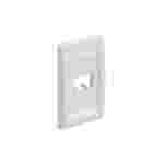 Jack Wall Plate Panduit 2 Salidas | Placa de Pared para Red | Color Beige (CFPE2IWY)